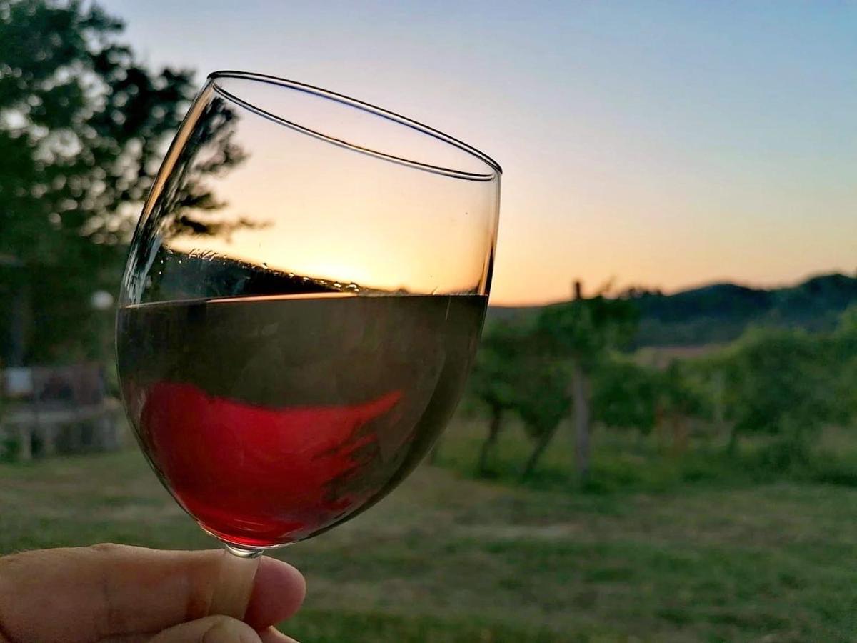 Podere Bellavista サン・ジミニャーノ エクステリア 写真