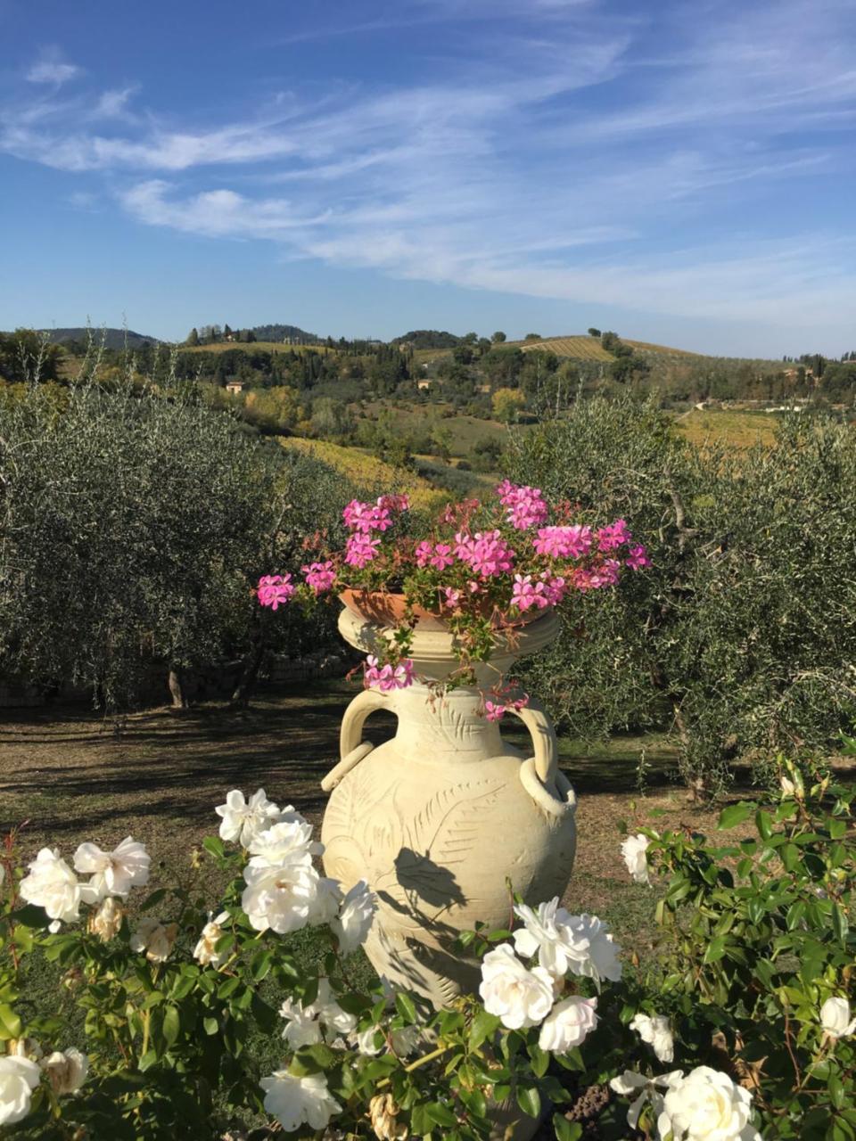 Podere Bellavista サン・ジミニャーノ エクステリア 写真