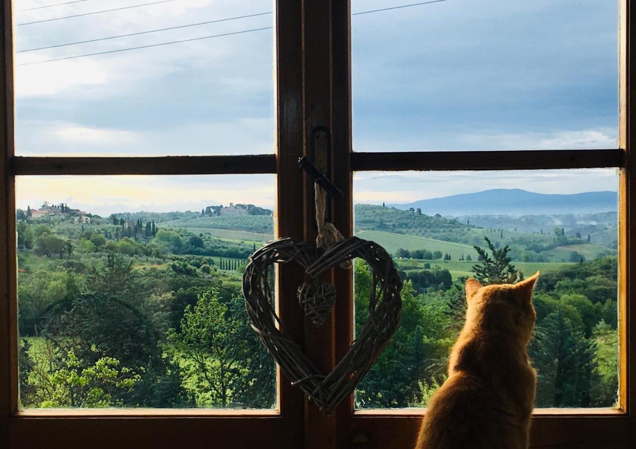 Podere Bellavista サン・ジミニャーノ エクステリア 写真