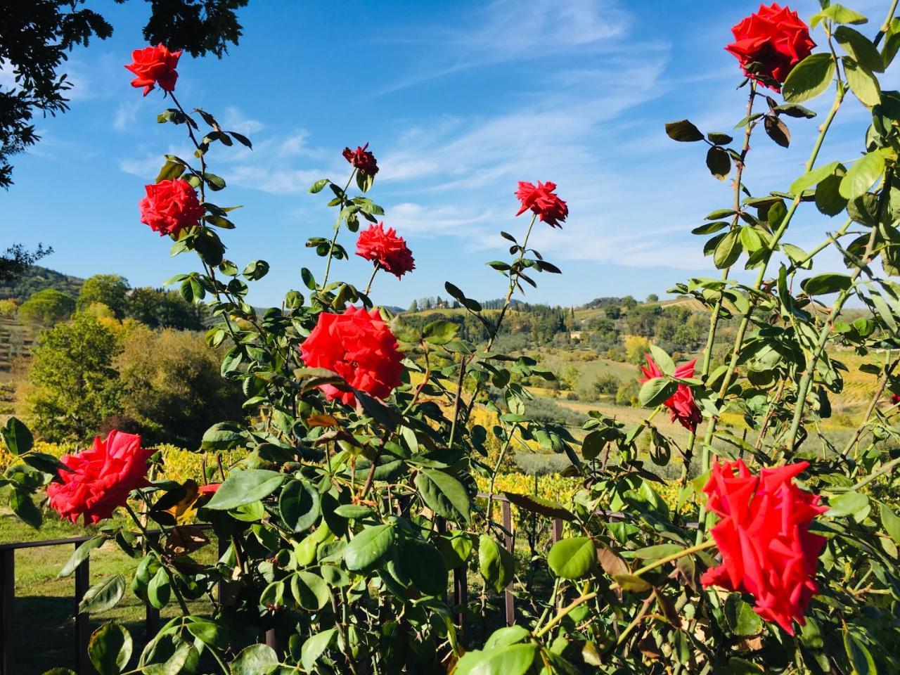 Podere Bellavista サン・ジミニャーノ エクステリア 写真