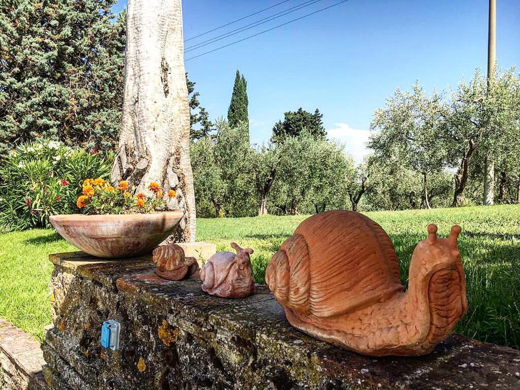 Podere Bellavista サン・ジミニャーノ エクステリア 写真