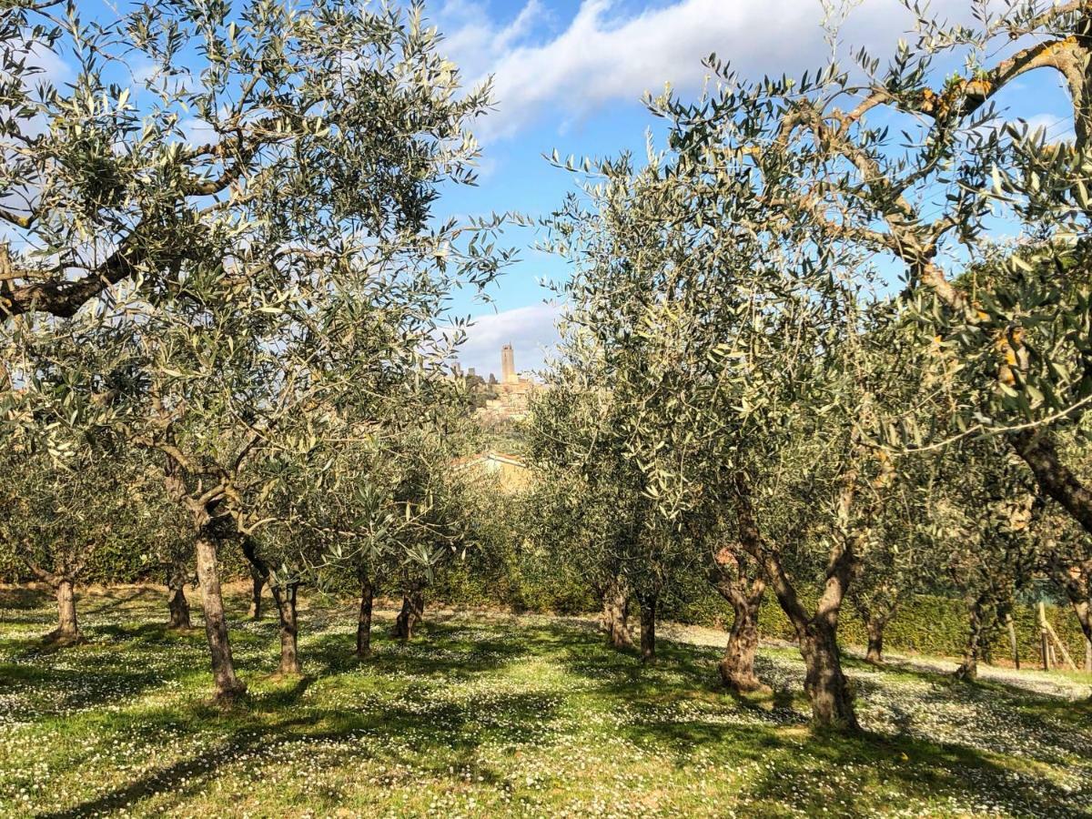 Podere Bellavista サン・ジミニャーノ エクステリア 写真